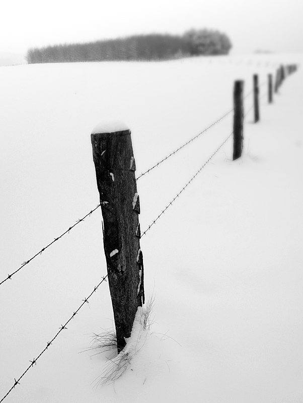 Winter-D33_1858.jpg   26.04.jpg